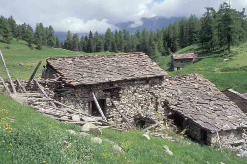 immagine MEIRE FONDOVET