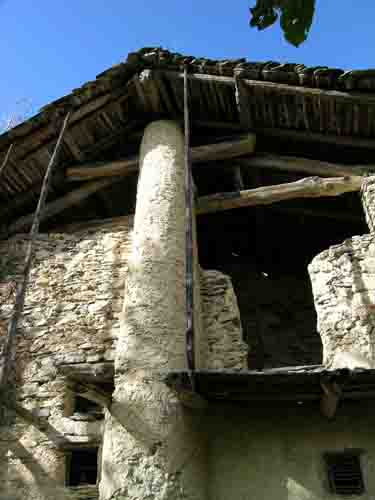 immagine ALLIONE