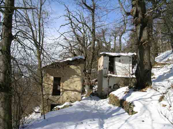 immagine esempio