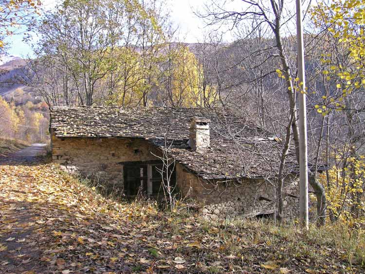 immagine A MONTE DI LAUSETTO