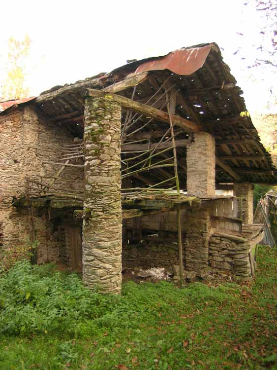 immagine VENASCA REFFARELLO