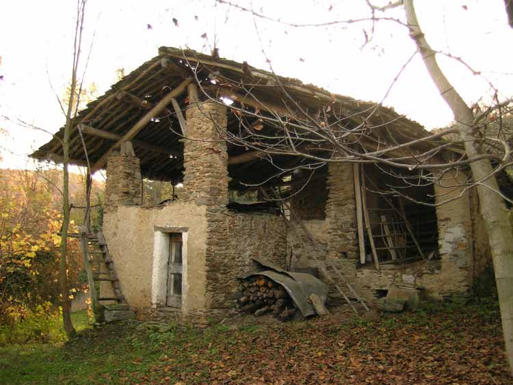immagine VENASCA REFFARELLO