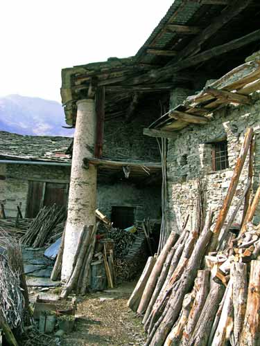 immagine PALU