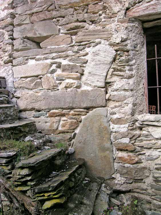 immagine PALU