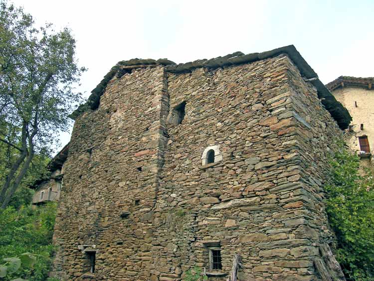 immagine PALU