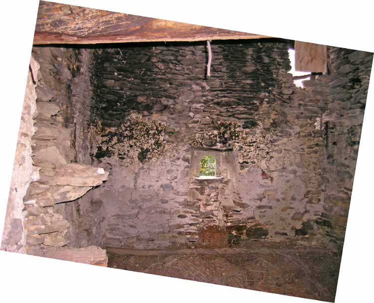 immagine PALU