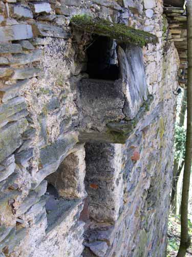 immagine C. PAPA