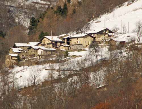 immagine PALU