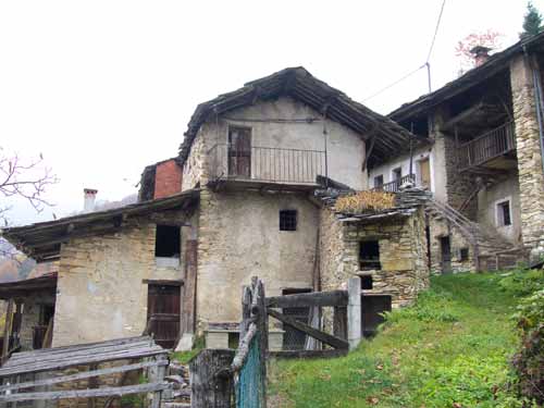 immagine RINAUDO