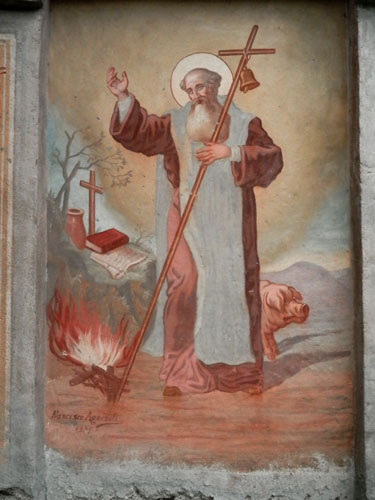 immagine VITTONE