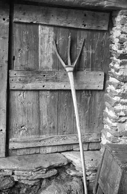 immagine GARZINO