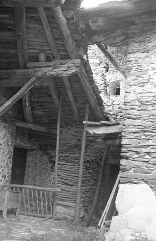 immagine GARZINO (VEDI 70G11)