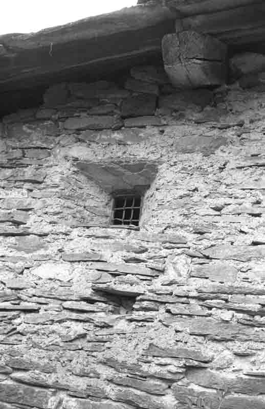 immagine GARZINO (VEDI 70G11)