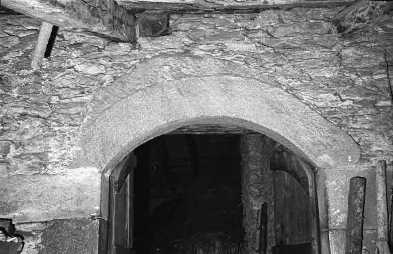 immagine ARATA (VEDI 70C11)