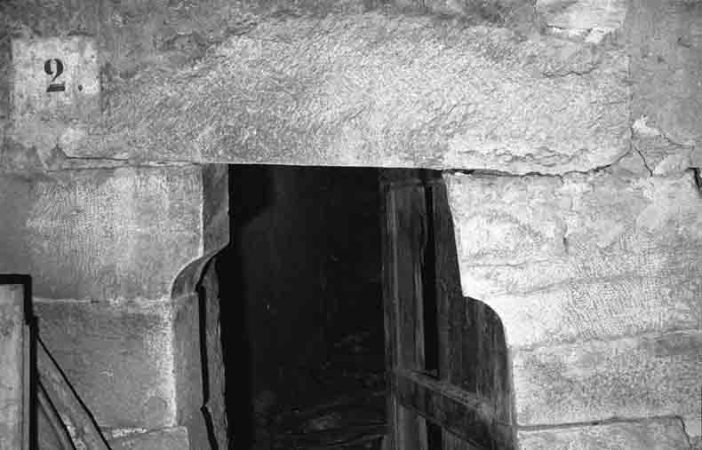 immagine ARATA (VEDI 70C11)