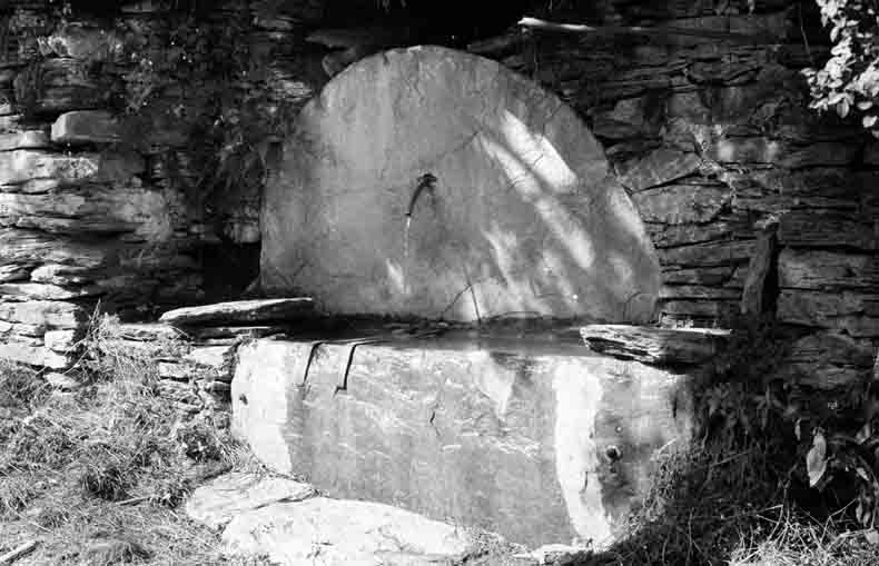 immagine FRACCHIE