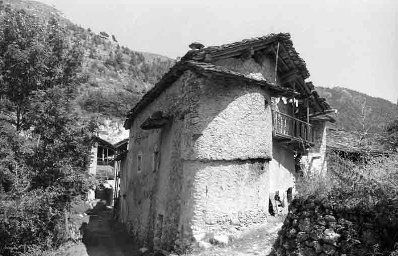 immagine GARINO