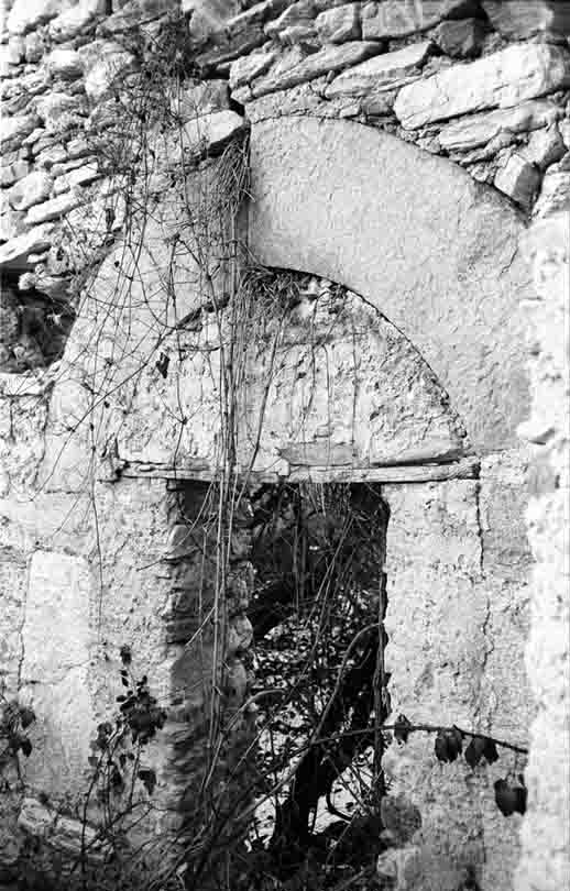 immagine GIORDANA
