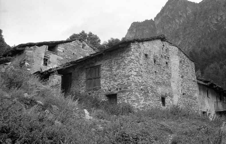 immagine COLOMBERO
