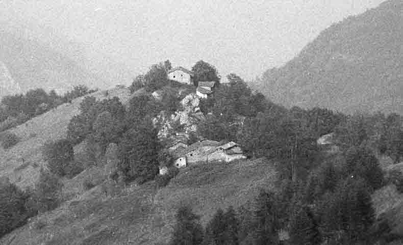 immagine ASSARTI DAL CAURI