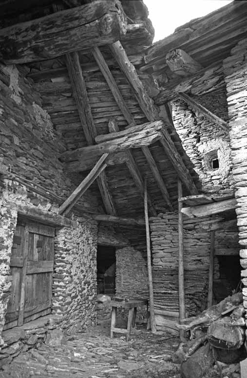 immagine GARZINO