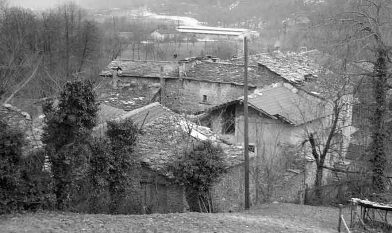 immagine LOTTANO 6X6