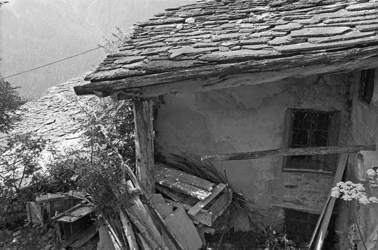 immagine COLONNA IN LEGNO