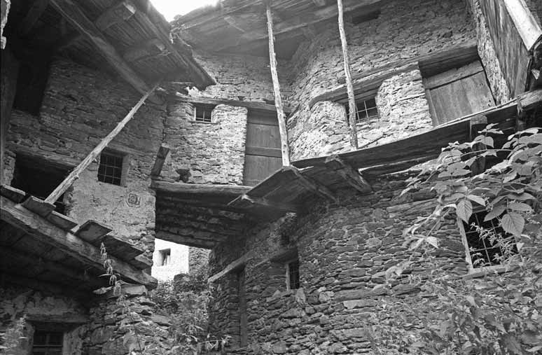 immagine SERRE