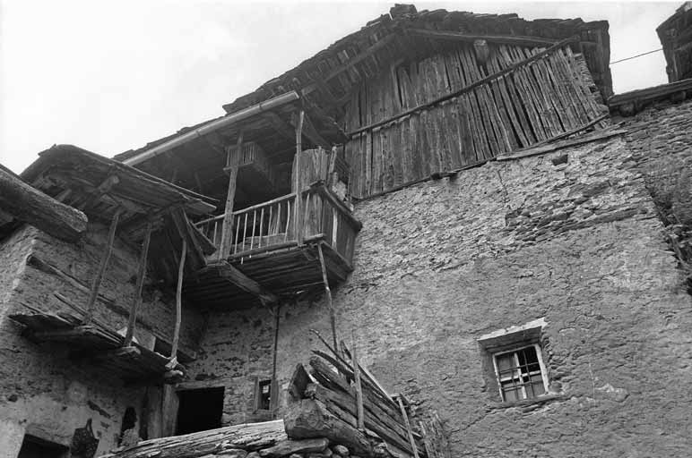 immagine SERRE