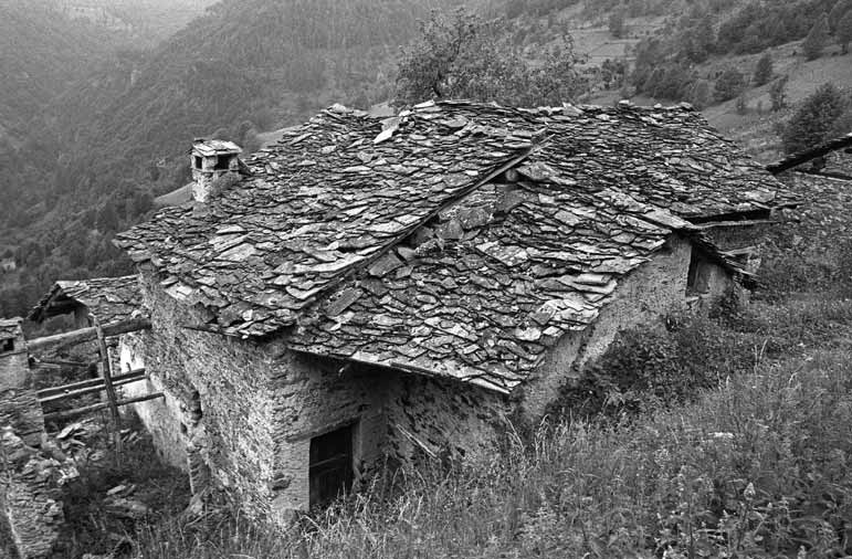 immagine SERRE