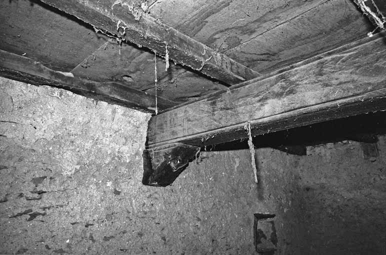 immagine COMEANO SUP.