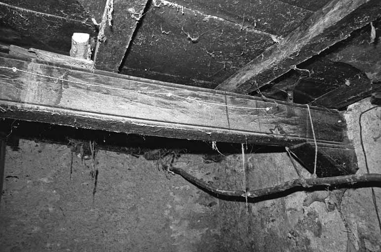 immagine COMEANO SUP.