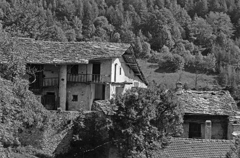 immagine FALCONE