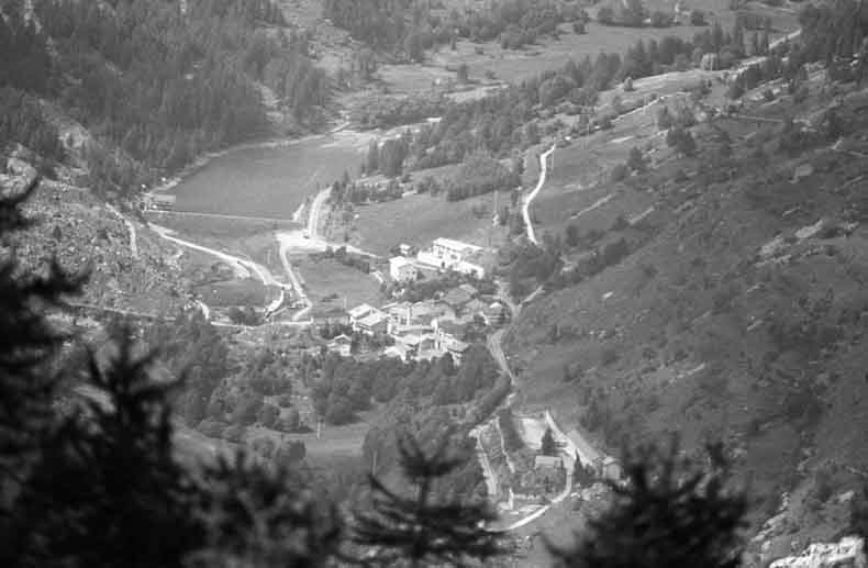 immagine DAL MONTE MIDIA