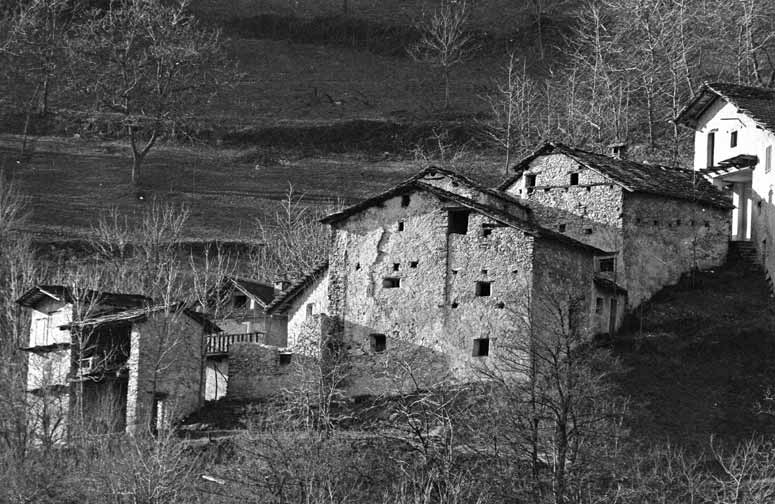 immagine FALCONE