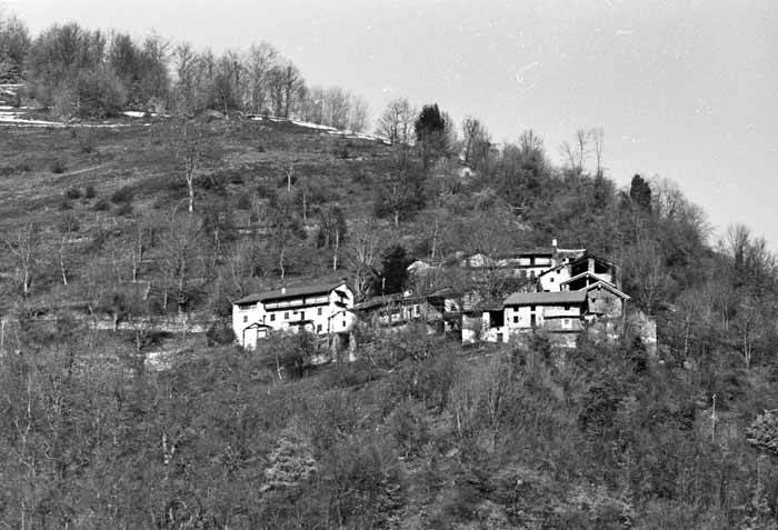 immagine PAOLINI