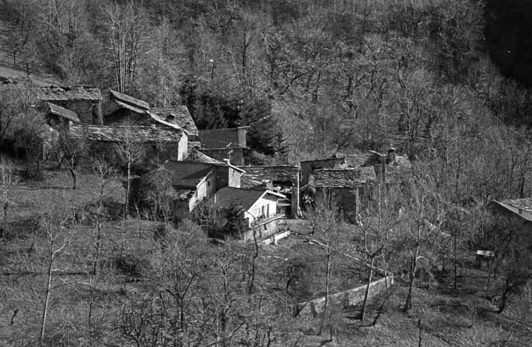 immagine COMEANO SUP.