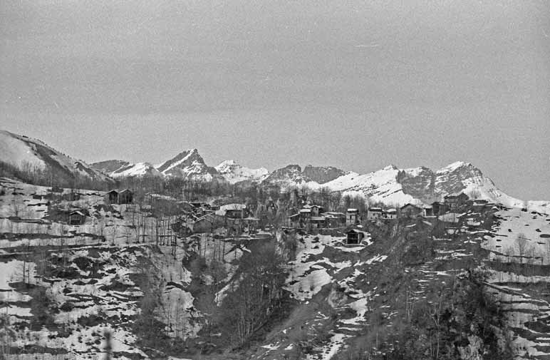 immagine DAL COLLE TRESSA (MESTRE)