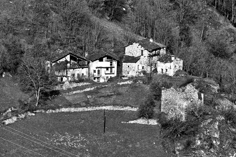 immagine DA ARAMOLA