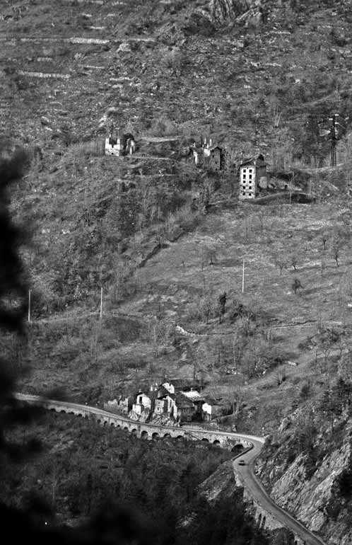 immagine DA ALBARETTO