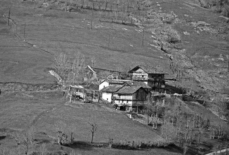 immagine DA SOPRA BRIONE