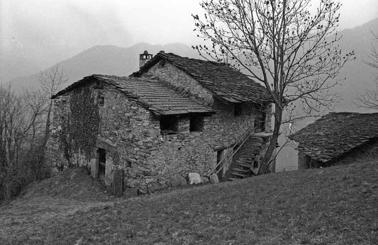 immagine GIORDANA