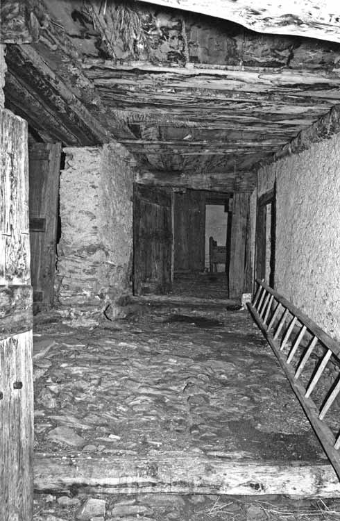 immagine CASA DI CELESTINA