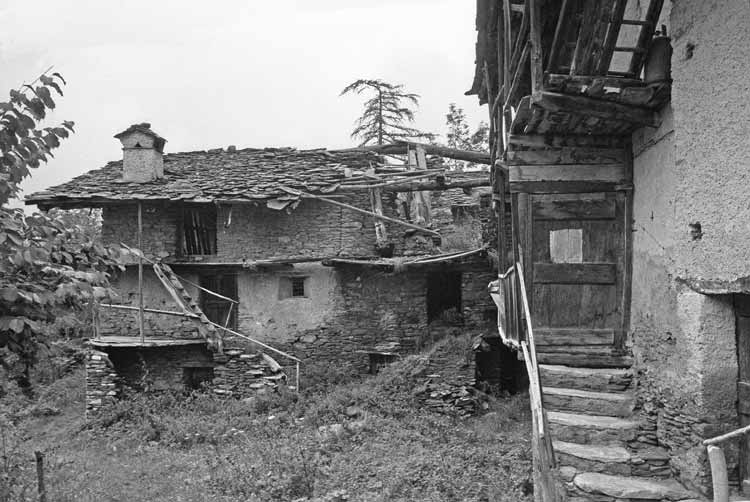 immagine BAUDINI