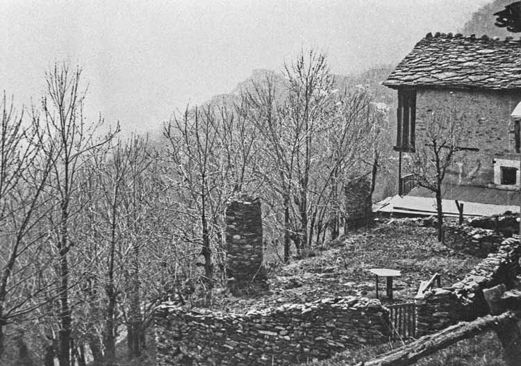 immagine RIPRODUZIONE FOTO