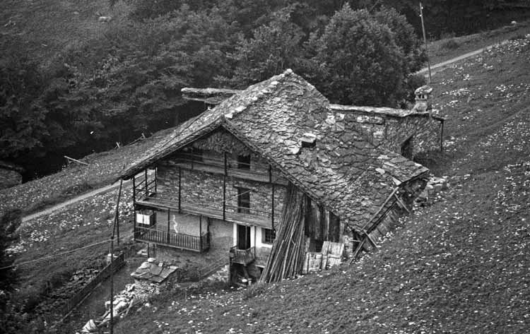 immagine CHIOSSO DI MEZZO