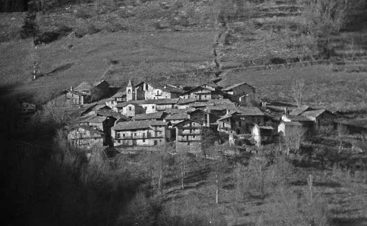 immagine esempio