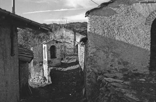 immagine BRUSCO