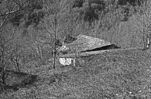 immagine esempio