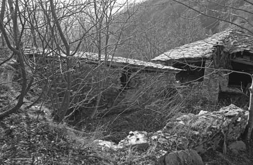 immagine TETTO PARAVALANGHE